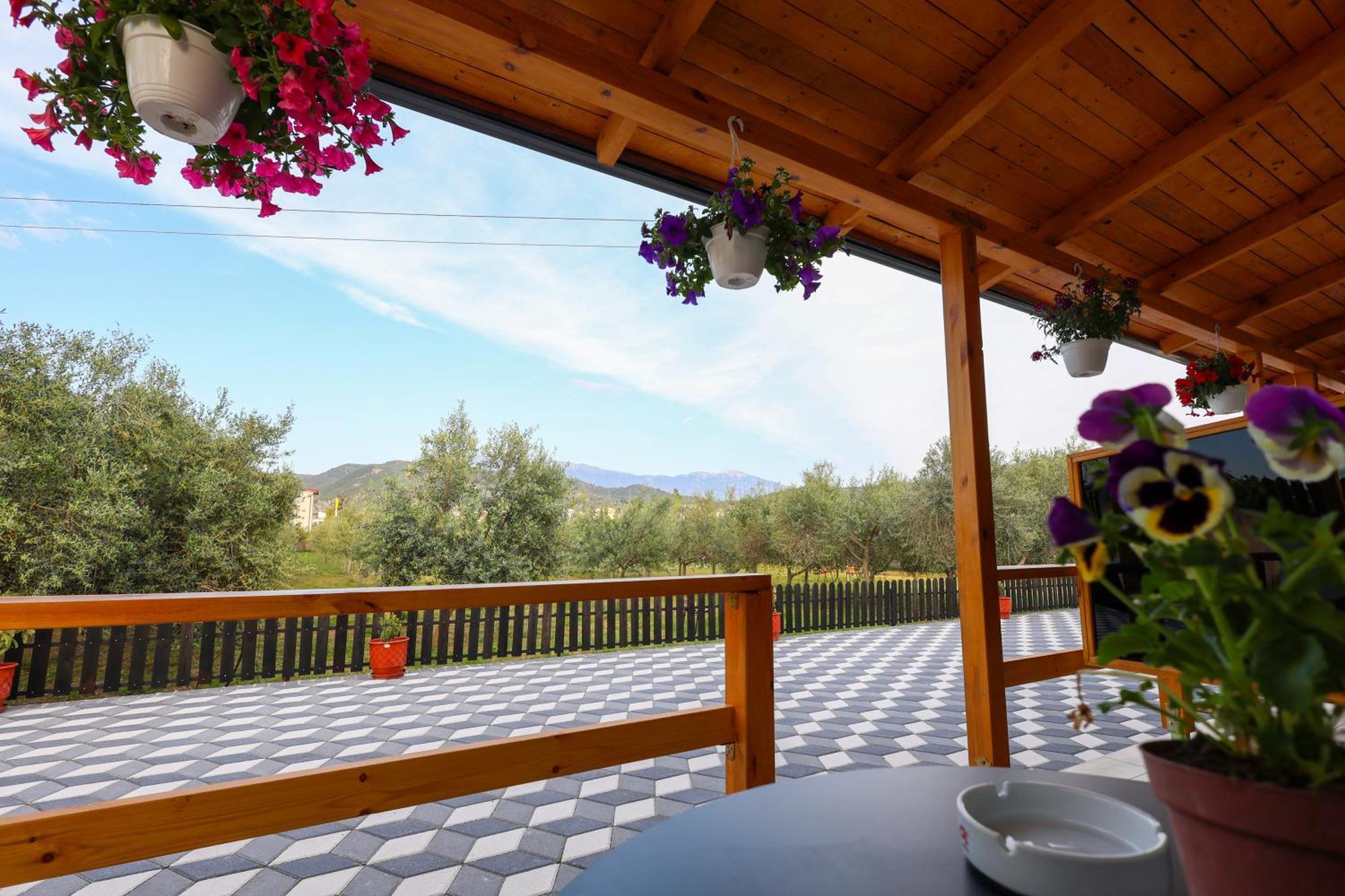 Olive Oasis Studio Berat Dış mekan fotoğraf