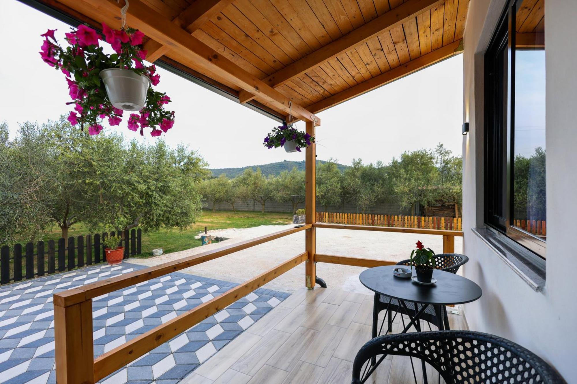 Olive Oasis Studio Berat Dış mekan fotoğraf