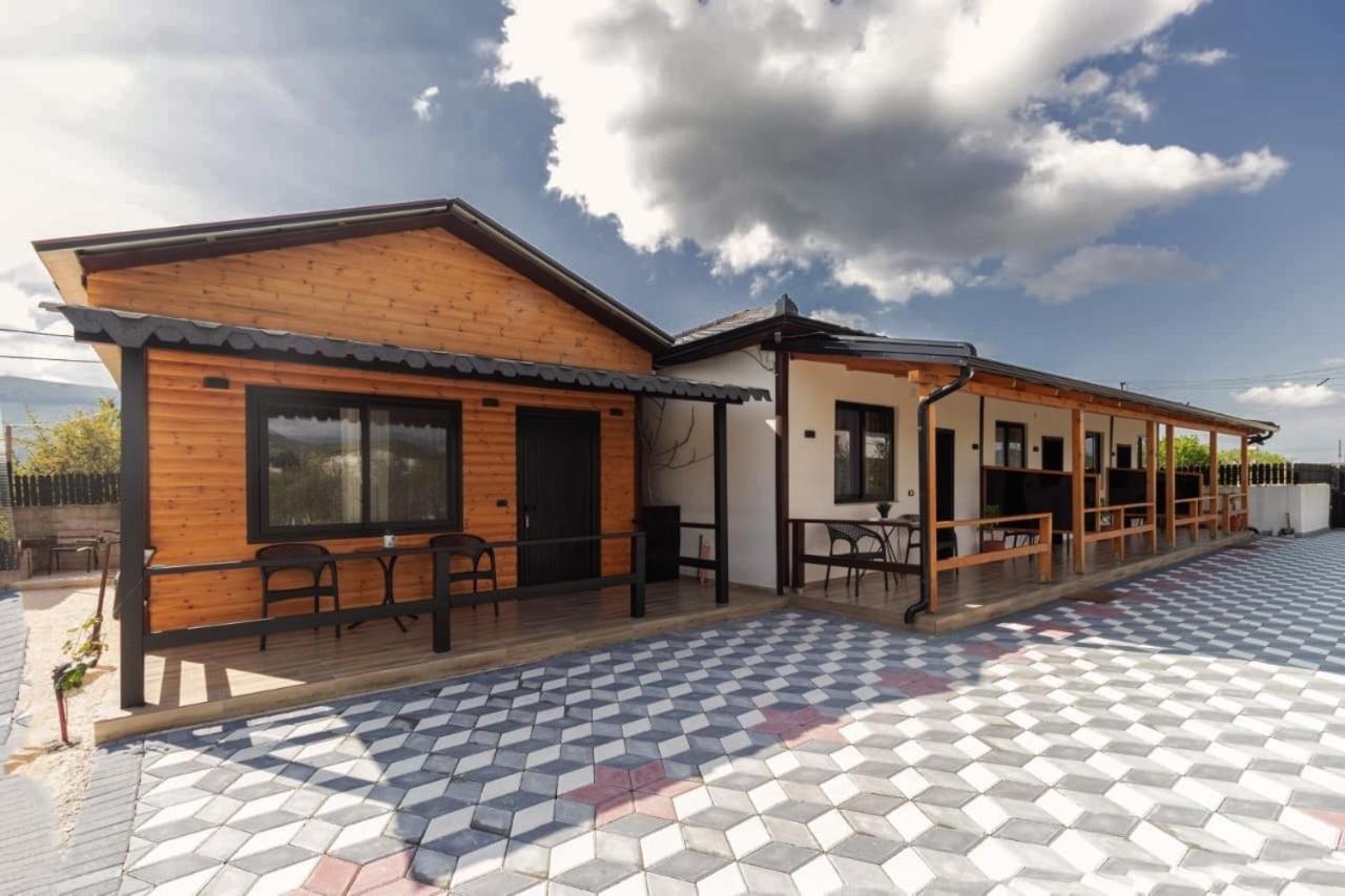 Olive Oasis Studio Berat Dış mekan fotoğraf
